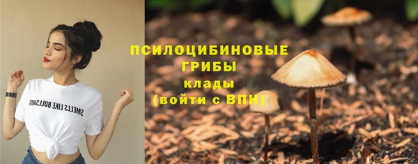 дмт Арсеньев