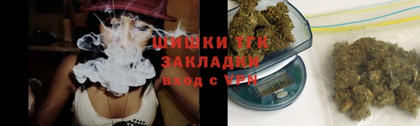 дмт Арсеньев