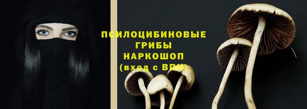 дмт Арсеньев