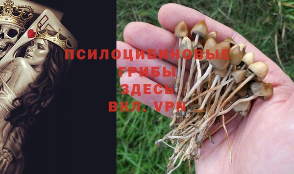 дмт Арсеньев