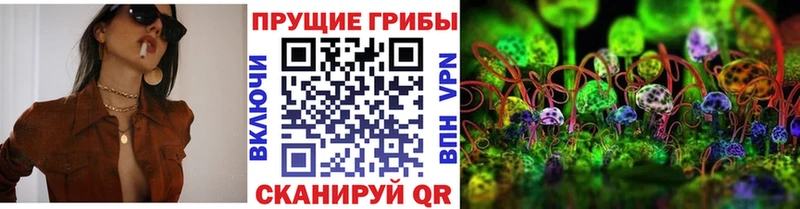 Псилоцибиновые грибы MAGIC MUSHROOMS  купить   Советский 
